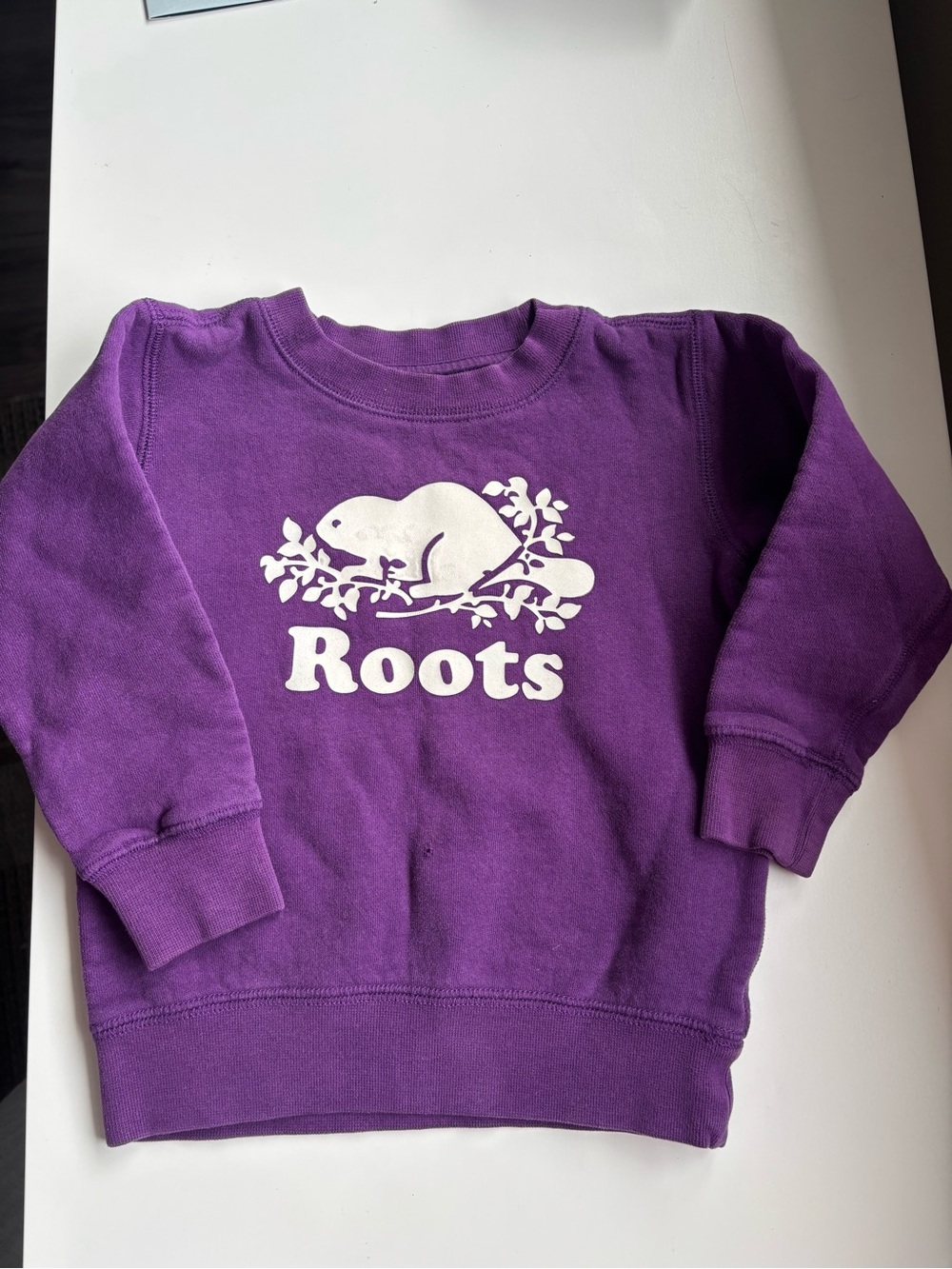 Kids ROOTS crewneck 2t pullover sweater